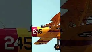 Ancient Indian Flying Machines? 🚀#Vimanas #AncientHistory #Shorts