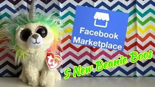 Beanie Boo Package Opening Haul | I got the wrong one?!