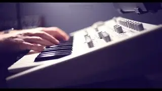 MIDERA | The forever seed (Virus TI ambient)