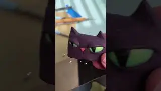 Work in Progress | Magical Cat BTS | #shorts