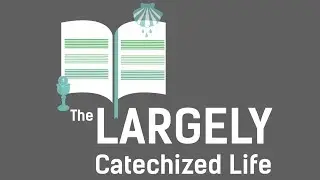 Baptism kills your daily faith walk - The Largely Catechized Life #94