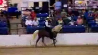 Trail Pleasure Grand Champion Class