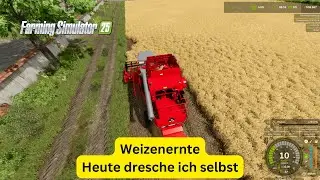 Weizenernte Ich fahre selbst | Landwirtschafts-Simulator 25 Hof Bergmann