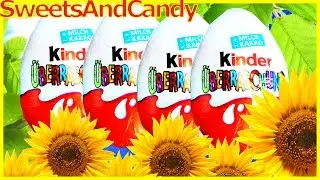 Video for KIDS: Surprise Eggs Unboxing Heimwerker Elefanten &Uuml; Eier | SweetsAndCandy