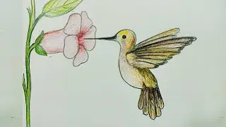 Bird Drawing step by step | RK Art School