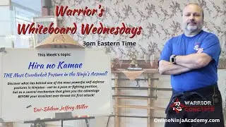 Hira no Kamae  THE Most Ignored Posture in Ninjutsu 