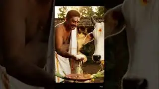 மாட்டு பொங்கல் | ஒரு பண்டிகை அல்ல&hellip; ஒரு நன்றி நாள் | Tamil Emotional Story
