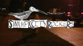 Swamp City Rockers :: Sandpiper LIVE (Official Video)