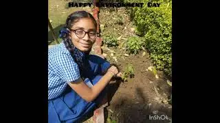 Happy world environment day☘️🌱☘️🍀🌴