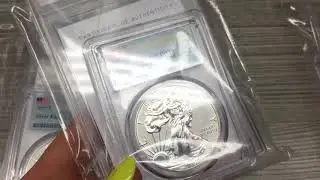 2019-S 1 oz Enhanced Reverse Proof Silver American Eagle Graded Coins