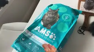 IAMS PROACTIVE HEALTH Adult Indoor Weight Control & Hairball Care Dry Cat Food Review