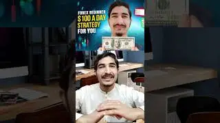 100$ a day from forex trading strategy 1000% real no experience required