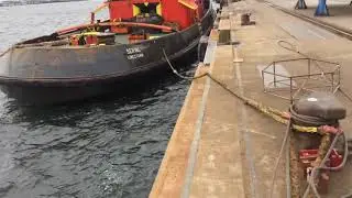 Neptun werft