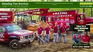 Tree Removal Company in NJ