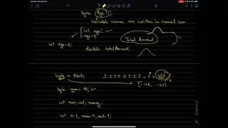 Java # 5 - Primitive Data Types