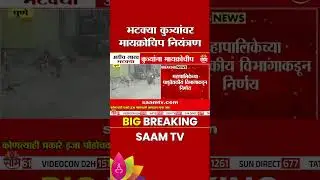 पुण्यातील भटक्या कुत्र्यांवर मायक्रोचिप नियंत्रण | Microchip on Dags