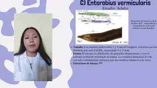 HELMINTOS NEMATODOS