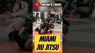 Kids Fly to Miami to Train Jiu-Jitsu🥋