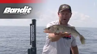 Bandit | Fishing Bandit Walleye Shallows Deep on Lead core Line