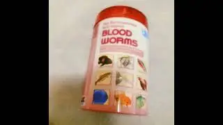 This was Dash's first time trying blood worms! (He loves them)