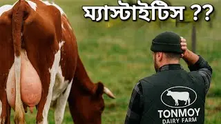 খামারির দুঃস্বপ্ন ম্যাস্টাইটিস।  #Mastitis #CowHealth  #AnimalHusbandry #MastitisAwareness