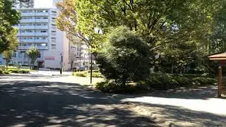 Kiba park, Tokyo Oct 2021