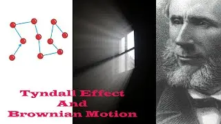 Properties of Colloids: Tyndall effect and Brownian Motion