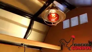 Infrared Heat Lamp from Chicken Condos