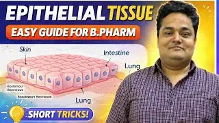 Epithelial Tissue in 3 Minutes | Short Tricks for B.Pharm | Easy Explanation&rdquo;