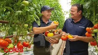 Heirloom Tomatoes teaser | Great lengths for quality | Coles