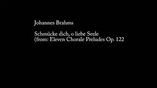 Joh. Brahms - Schm&uuml;cke dich, o liebe Seele Walcker organ Doesburg