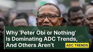 Why 'Peter Obi or Nothing' Is Dominating ADC Trends, And Others Aren't