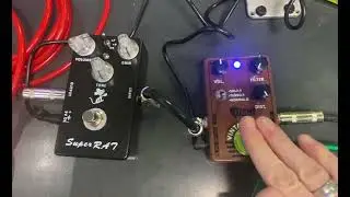 MOSKY Super Rat VS Dolamo D11