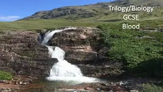 GCSE Biology Trilogy Science: Blood
