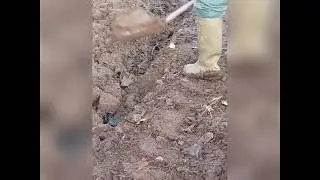 Spitten