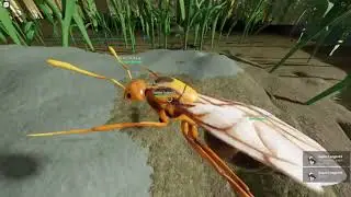 Huge Nest Defense for the Yellow Crazy Ants! - Ant Life V2 Gameplay Ep 22