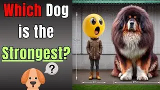 10 Most Powerful Dogs in the World