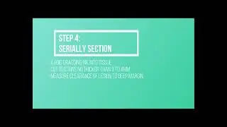 How to Gross Skin Excision Specimens