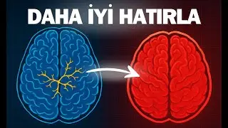 Nasıl Okuduğun Her Şeyi Hatırlarsın? - Gizli Öğrenme Taktikleri!