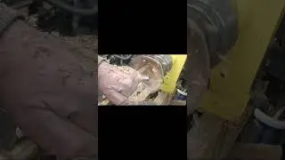 extreme natural edge wood turning #woodworking #woodturning #handmade