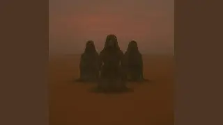 The Signal