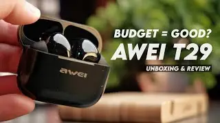 Бюджетные наушники-вкладыши &mdash; хорошая идея? Awei T29
