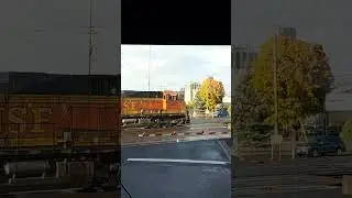 Adventure with Star #railroadphotography #trainsofpnw #starlingrimes #bnsf #vancouver #shorts #train