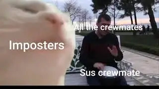 Cat Vibing to Ievan Polkka Among Us Meme