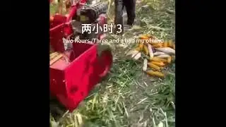 Corn harvester machine #cornharvester #agriculture