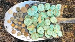 Search for coins and gold with a metal detector.