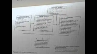 A Model of Founder Decisions by @noamwass