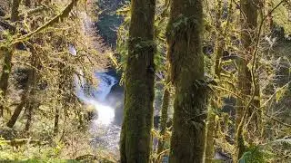 Silver Falls Canyon Trail hike 10