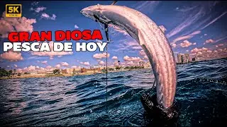 &iexcl;OH MY GOD, QU&Eacute; BUENA PESCA EN EL MALEC&Oacute;N FRENTE A LA CANSILLER&Iacute;A!