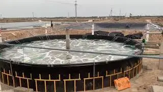 Outdoor Nursery tank  Blower Aeration system for High DO levels in Shrimp ponds & Nursery tanks